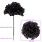 Black Carnation Picks: Set of 100, 5&#x22; Long, 3.5&#x22; Wide, Silk Flowers by Floral Home&#xAE;